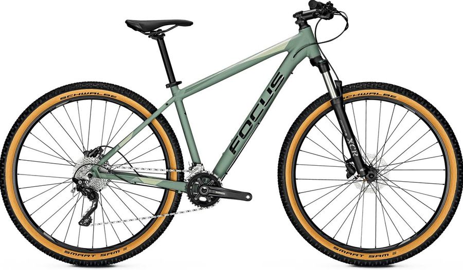 Focus WHISTLER 3.8 2020