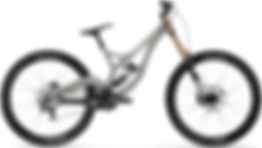 Devinci Wilson Saint 10S 2021