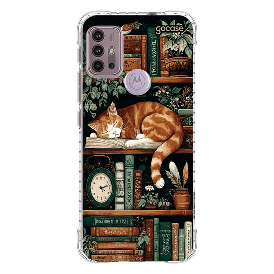  Bookish Cat