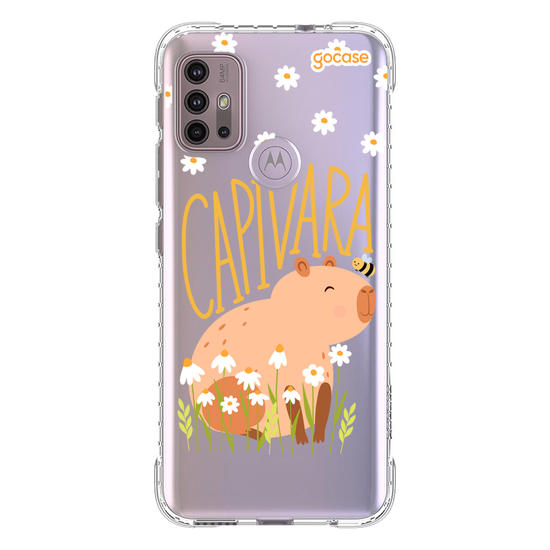 Capivara da Sorte