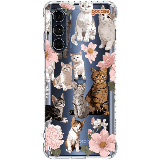  Cat Spring