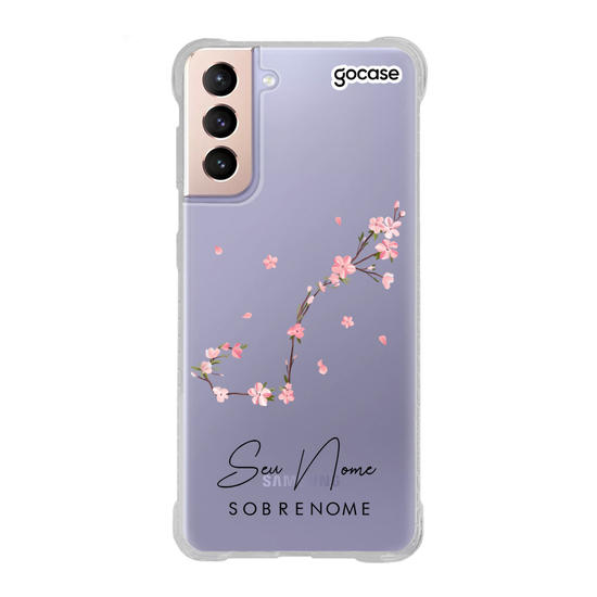 Classical Rose Signos Clean