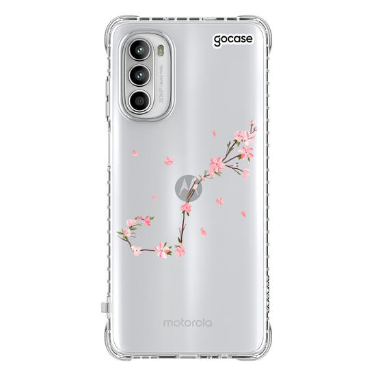 Classical Rose Signos Clean