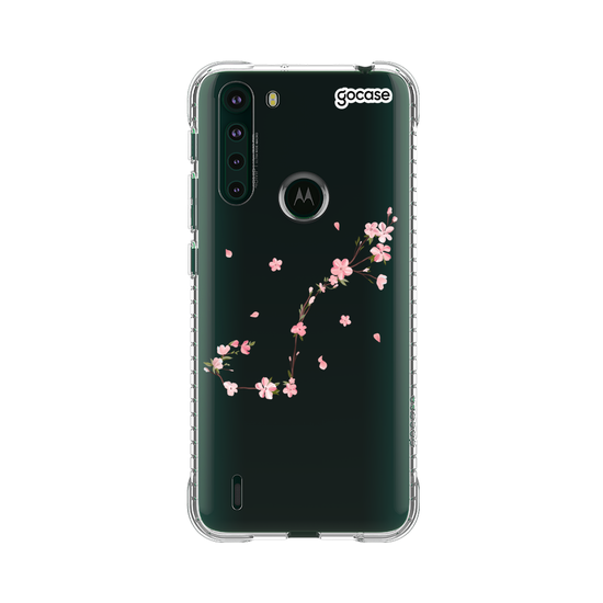 Classical Rose Signos Clean