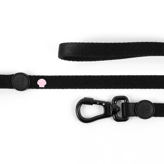 Guia Pet -  Concha do Mar Guia Pet -  Concha do Mar