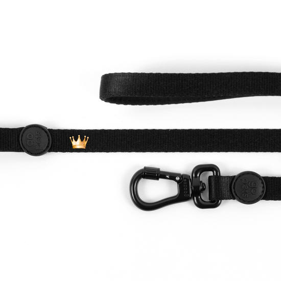 Guia Pet -  Coroa Princesa Guia Pet -  Coroa Princesa