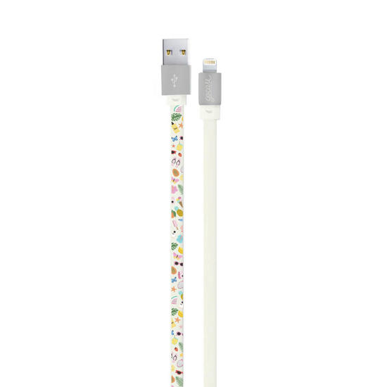 Customized Lightning Cable to USB for iPhone Lightning (Apple Certified) - Hello Summer - Summer Collection
