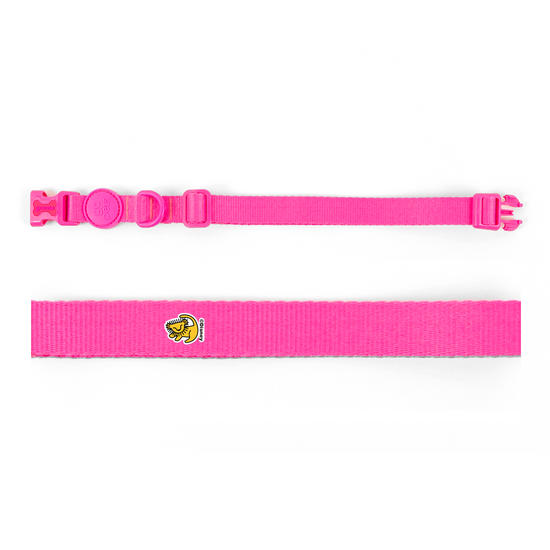 Coleira Pet - The Lion King