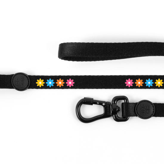 Guia Pet - Flores Cute Guia Pet - Flores Cute