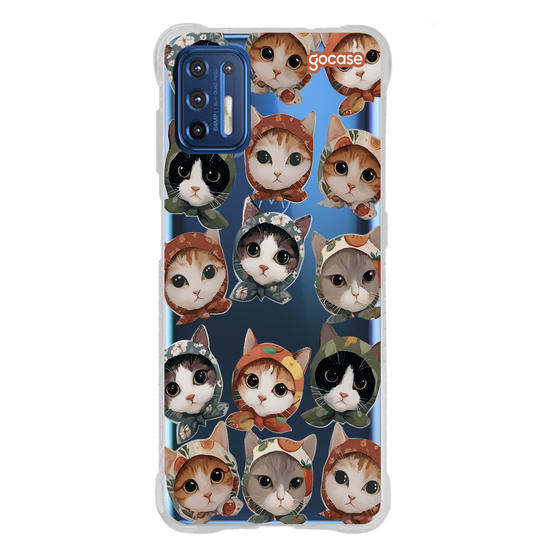  Gatinhos de Echarpe