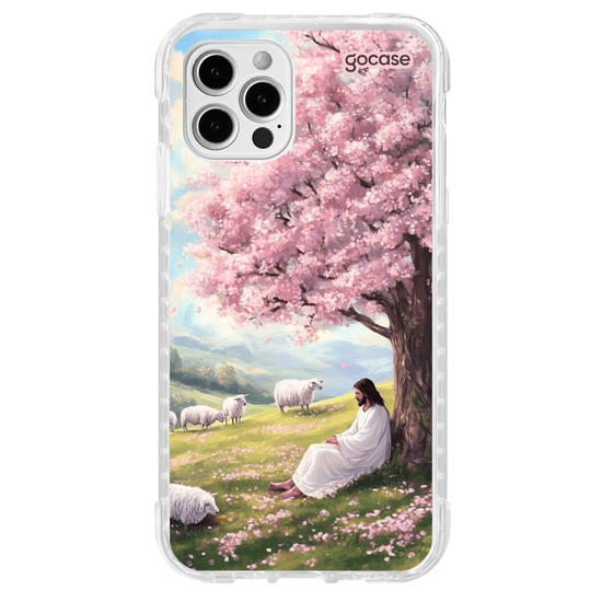  Jesus e as Ovelhas no Campo