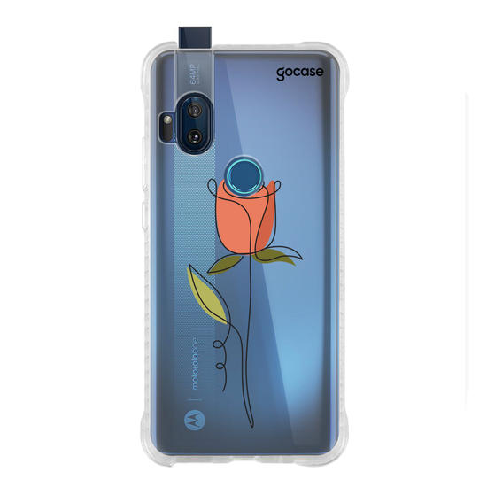 Rosa e Linhas