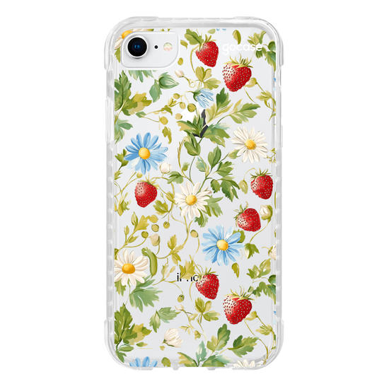  Margaridas e Morangos