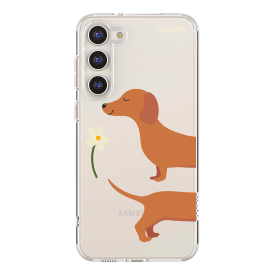 Meu Cão Salsicha  Meu Cão Salsicha