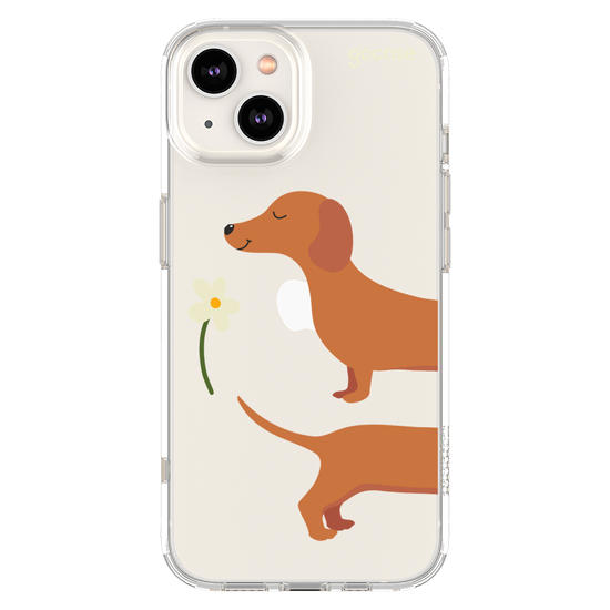 Meu Cão Salsicha  Meu Cão Salsicha