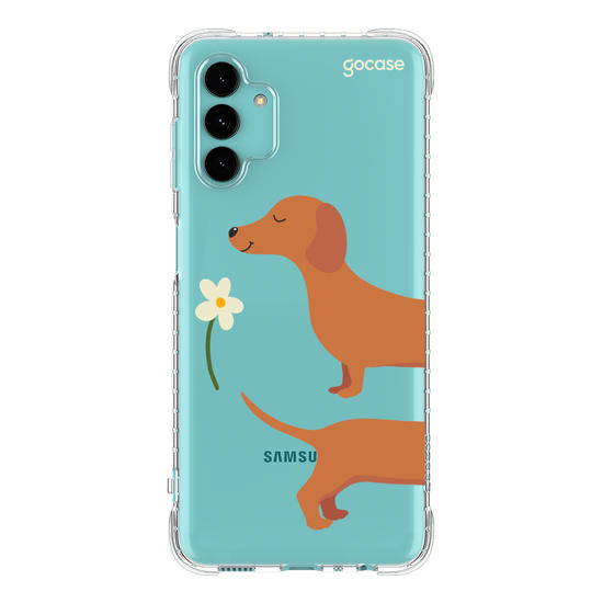 Meu Cão Salsicha  Meu Cão Salsicha