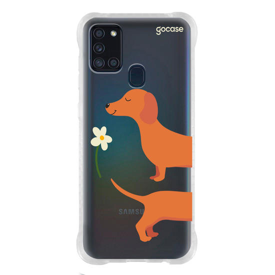 Meu Cão Salsicha  Meu Cão Salsicha