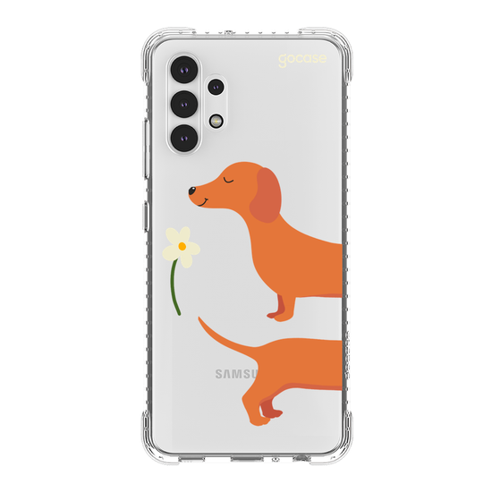 Meu Cão Salsicha  Meu Cão Salsicha