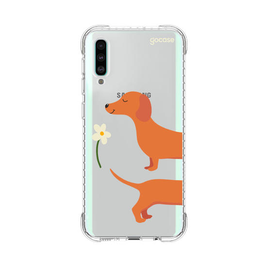 Meu Cão Salsicha  Meu Cão Salsicha