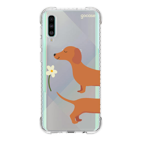 Meu Cão Salsicha  Meu Cão Salsicha