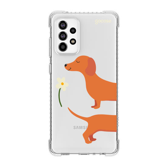 Meu Cão Salsicha  Meu Cão Salsicha