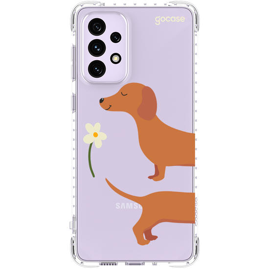 Meu Cão Salsicha  Meu Cão Salsicha