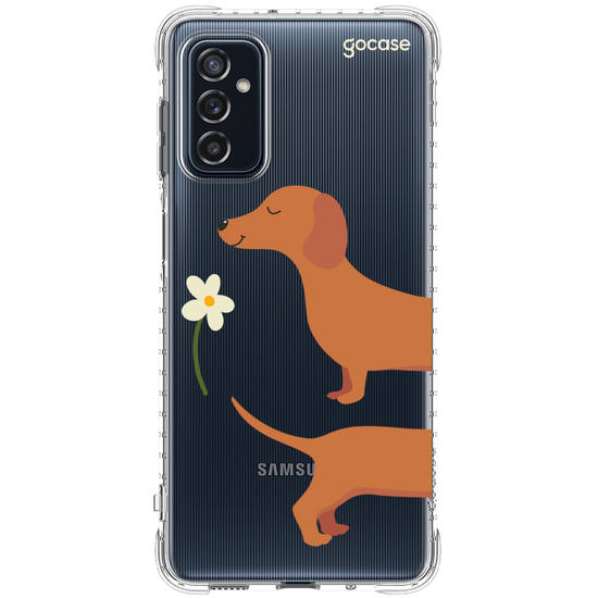 Meu Cão Salsicha  Meu Cão Salsicha