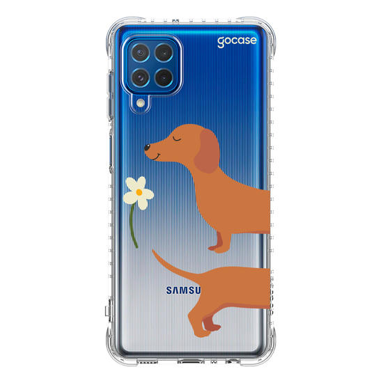 Meu Cão Salsicha  Meu Cão Salsicha