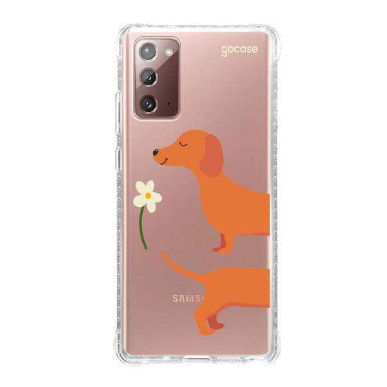 Meu Cão Salsicha  Meu Cão Salsicha