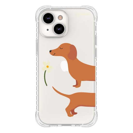 Meu Cão Salsicha  Meu Cão Salsicha