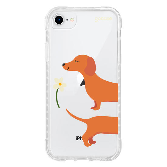 Meu Cão Salsicha  Meu Cão Salsicha