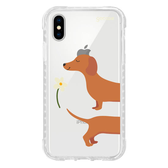 Meu Cão Salsicha  Meu Cão Salsicha