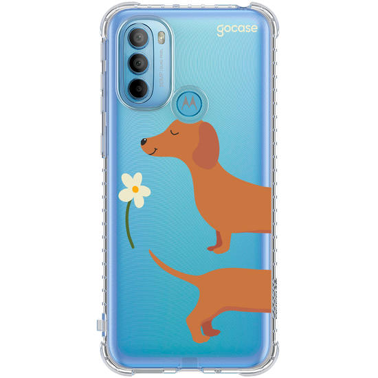 Meu Cão Salsicha  Meu Cão Salsicha