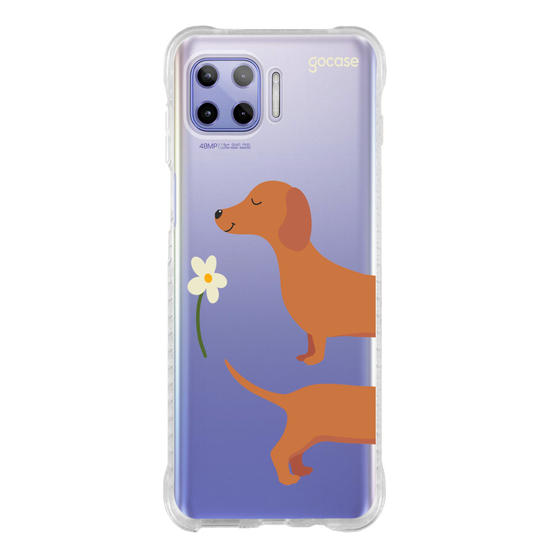  Meu Cão Salsicha