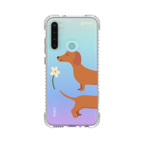 Meu Cão Salsicha  Meu Cão Salsicha