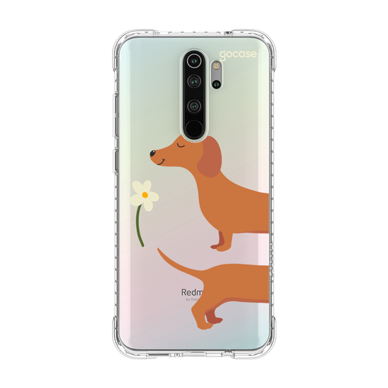 Meu Cão Salsicha  Meu Cão Salsicha