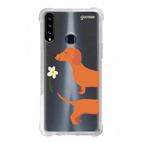 Meu Cão Salsicha  Meu Cão Salsicha