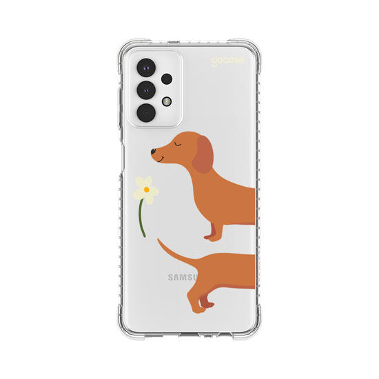 Meu Cão Salsicha  Meu Cão Salsicha