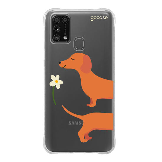 Meu Cão Salsicha  Meu Cão Salsicha