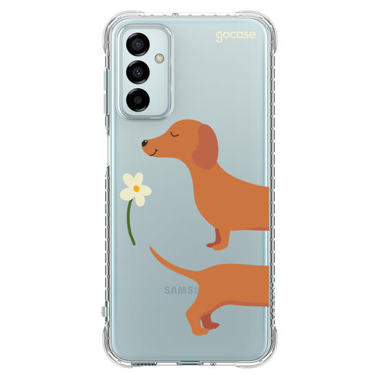 Meu Cão Salsicha  Meu Cão Salsicha