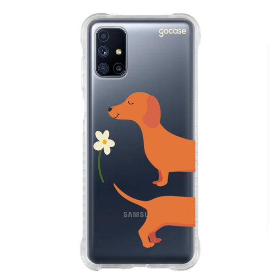 Meu Cão Salsicha  Meu Cão Salsicha