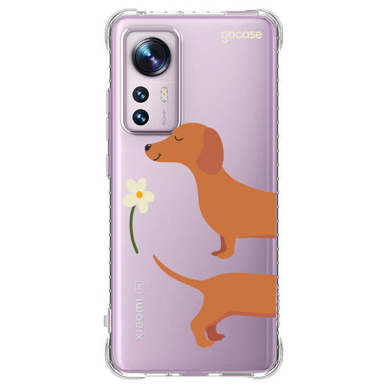  Meu Cão Salsicha