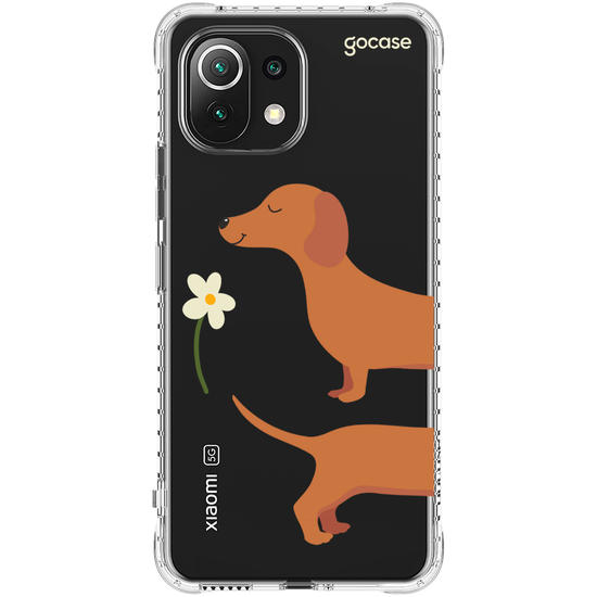 Meu Cão Salsicha  Meu Cão Salsicha