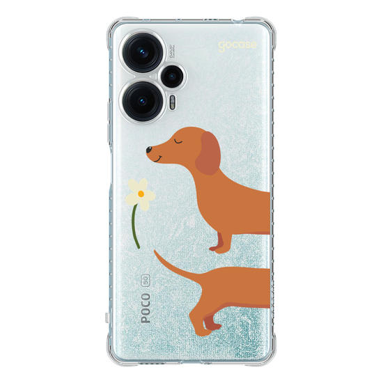 Meu Cão Salsicha  Meu Cão Salsicha