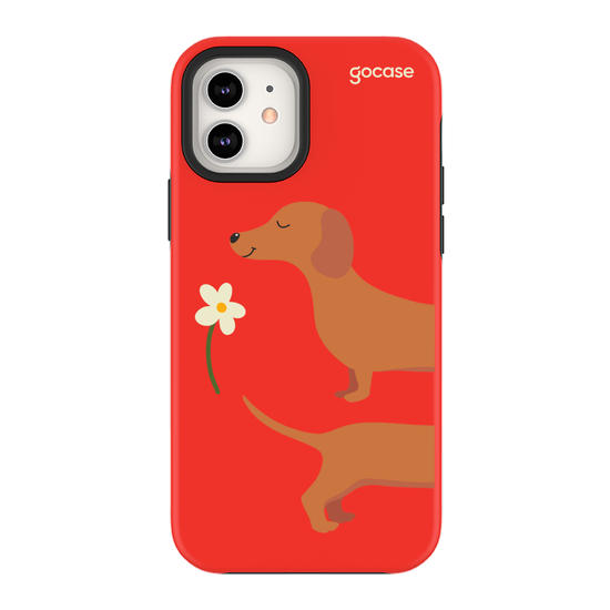 Meu Cão Salsicha