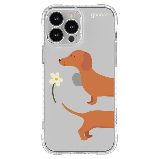  Meu Cão Salsicha