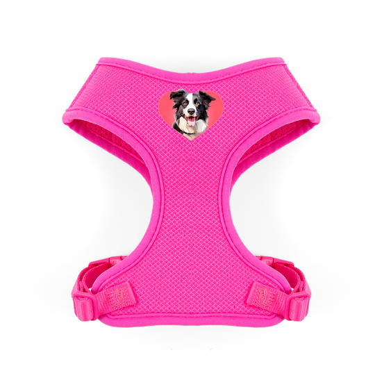 Peitoral Pet - Meu Border Collie