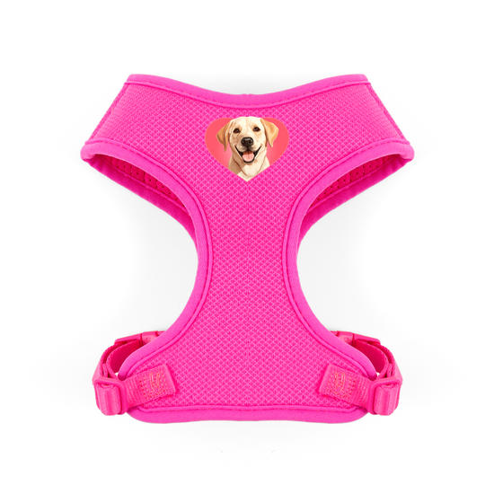 Peitoral Pet - Meu Labrador