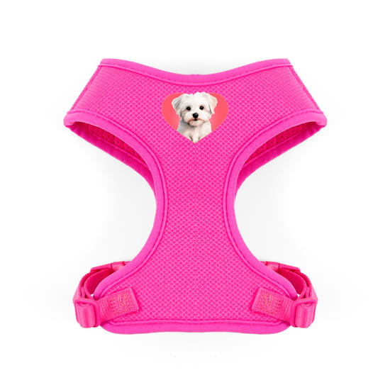 Peitoral Pet - Meu Maltês