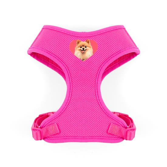 Peitoral Pet - Meu Spitz Alemão